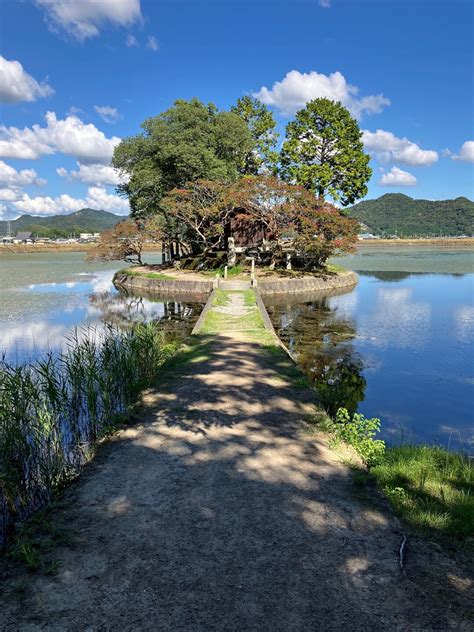 鶴嘴 苗字|「鶴橋」(つるはし)さんの名字の由来、語源、分布。